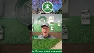 Turf Titan Lawn Fertilizer - Dedication to Quality #diylawncare