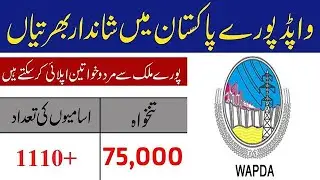 1110 Vacancy in WAPDA Jobs 2020 Apply Online | Wapda new jobs 2020 | Jobs in WAPDA Jobs 2020