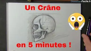 [DESSINER-FACILE] Apprenez à dessiner un crâne rapidement en 5 minutes