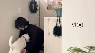 Vlog 강원도 시골에서 살아가는 소소한 날들ㅣ곶감 만들며 겨울보내기
