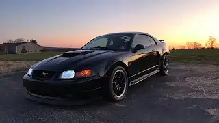 NewEdge Mustang GT Gets Lowered