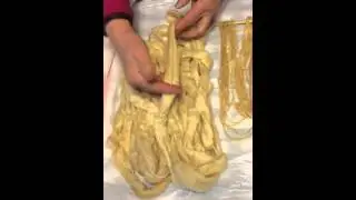 Dreamy Goat Design Studio -- Dyeing with Osage Orange - Day 3
