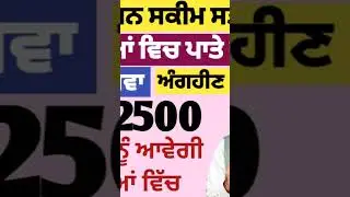 Punjab Pension Scheme September 2025 | 1000 women pension scheme | Pension News Today #2500pension