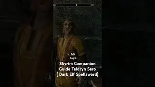 Skyrim Companion Guide Teldryn Sero ( Dark Elf Spellsword)