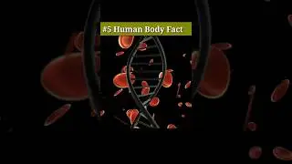 5 Human body Facts in hindi #facts #shorts