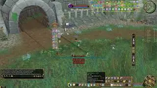 INSANITY FLYFF GUILD SIEGE, PvP arcanist 2023 08 06