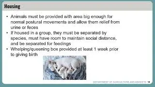 Companion Animal Care Standards Act Article 26-C Informational Webinar