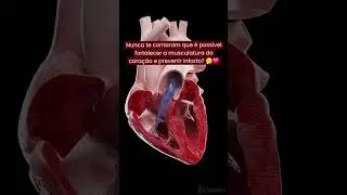 VOC&Ecirc; SABIA QUE ISSO PODE PREVENIR INFARTO?