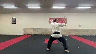 Pinan Yandan - Wado Ryu Purple Belt Kata