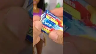 Barbie Doll Family packs for the beach