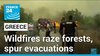 Greece heatwave: Wildfires raze forests, spur evacuations &bull; FRANCE 24 English
