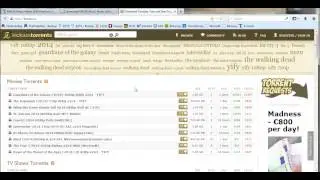 piratebrowser update