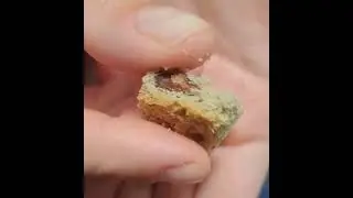 ASMR Eating Maple Pecan Biscotti