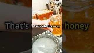 3000-Year-Old Honey: The Ancient Egyptian Secret! #shorts