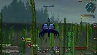 RTX4090 World of Warcraft Quest 69 Azure Watch Part 1