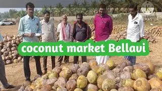 Bellavi coconut market # evarey thursday @ super market#