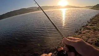 02/07/26 IRVINE LAKE & LAGUNA NIGUEL TROUT STOCK