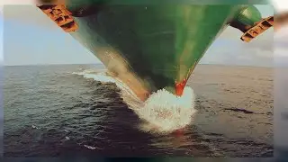 Sea.short