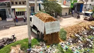 Mix2 Videos Perfect START New Project!Skillful Machine Dozer D31A Remove Trash,Dump truck Fill land 