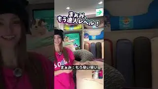 【やってみた】まぁみがYogiboのリペアにチャレンジ！！