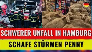 Schwerer UNFALL in Hamburg, Schafe ST&Uuml;RMEN Penny, Preissenkung