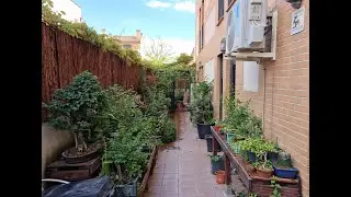 Paseo por el patio 06/05/2025