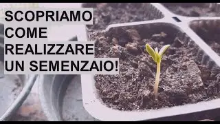 COME REALIZZARE UN SEMENZAIO - Guida semplice e completa! - W&A Gardens: giardinaggio ed orticoltura