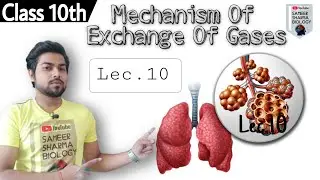 Lec.10 Mechanism Of Exchange Of Gases | Class 10th | Life Processes | Sameer Sharma