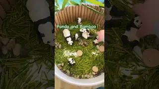 🐼🌿 Six chubby pandas just moved in! #toymany #pandas #creativeplay #wildlife #learnthroughplay