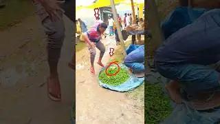 😱😲 Found gold while buying green chilies #Indonesia #Brazil #Sri Lanka #United status #india
