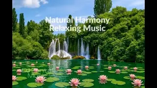 Natural Harmony &ndash; Relaxing Music with Nature Sounds and Birdsong