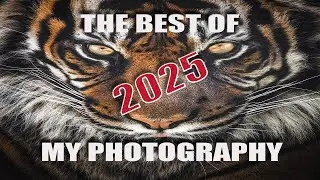 ЛУЧШИЕ МОИ ФОТОГРАФИИ 2025 ГОДА