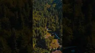 Sharan Forest | travel Pakistan