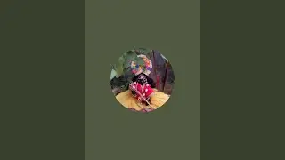 Merekanhaiya is live