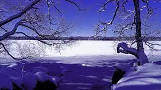 Natur, Musik, fotografi, lugn, vila, bilder.
