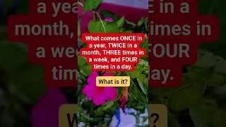what is it?#logicpuzzle
