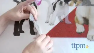 Wild Walls Puppy Stars from Uncle Milton