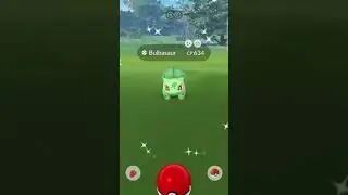 I caught the most INSANE Shiny Bulbasaur on Pok&eacute;mon Go Community Day Classic 😍