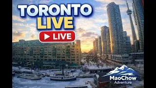 Toronto Window Cam LIVE HD | MaoChow Adventure 30 Jan 2026