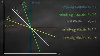 Degrees of Price Elasticity of Demand in One Graph
