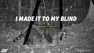 .30 cal FX Wildcat Compact air rifle night hunting