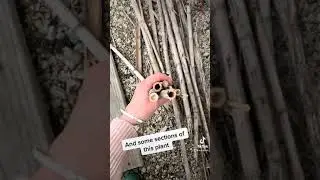 Piano Upcycle - Bee Hotel #shorts