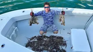 Lobster sportsman season in Marathon.  Catch Clean Cook!