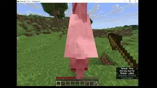Playing Minecraft Hardcore part 2