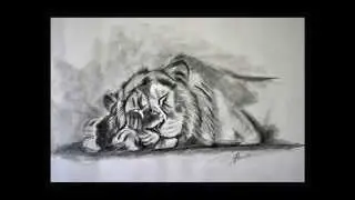 AMAZING LION DRAWING in HD!