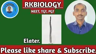 Elater /BSc/MSc/ TGT/PGT