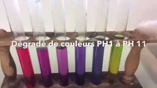 HS2_Le jus de chou rouge est un indicateur de pH naturel