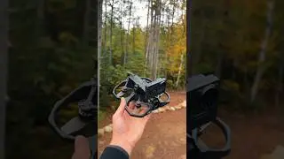 Cabin in the woods FPV tour 