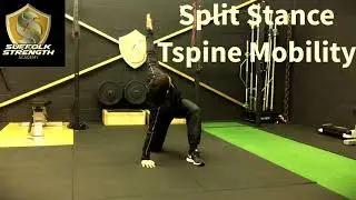 Ipswich Personal Trainer - Movement Matrix - Reach Under & Tspine Extension