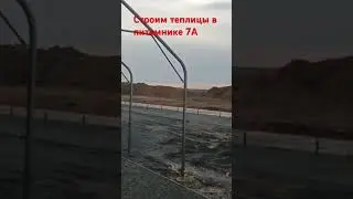 Чтобы производить растения высокого качества, нужна и соответствующая инфраструктура для 200 тыс р9.